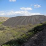 Verde Canyon - hromada strusky