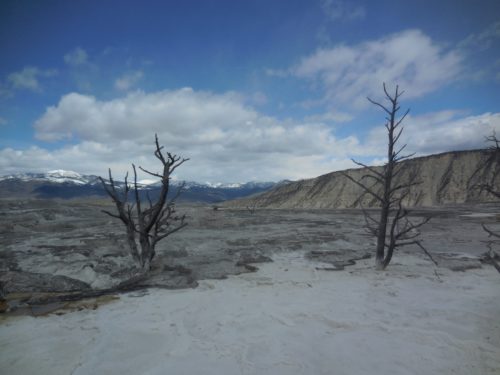 Mammoth Hots Springs v Yellowstonu