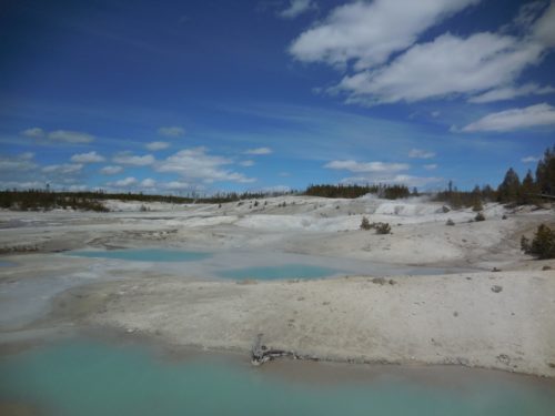 Yellowstone