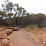 Kings Canyon